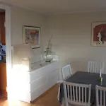 Ocean Panorama Tatil Evi