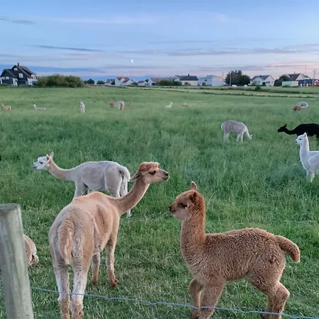 Ocean Panorama Holiday home