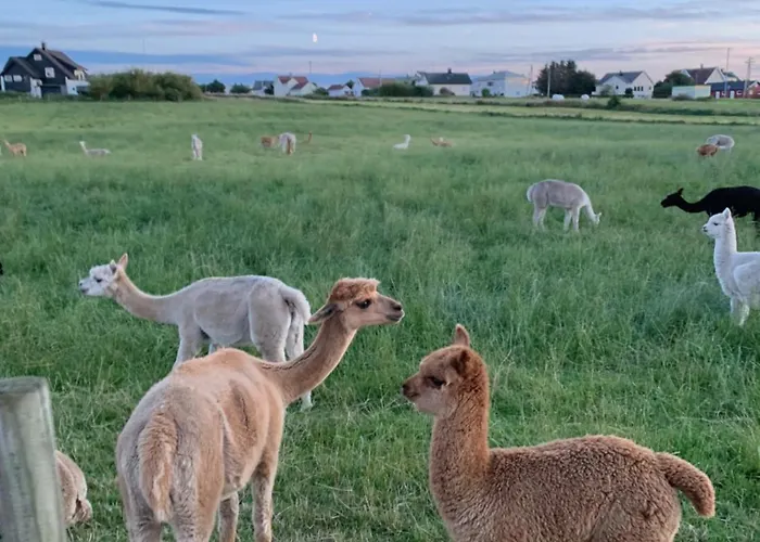 Ocean Panorama Nyaraló